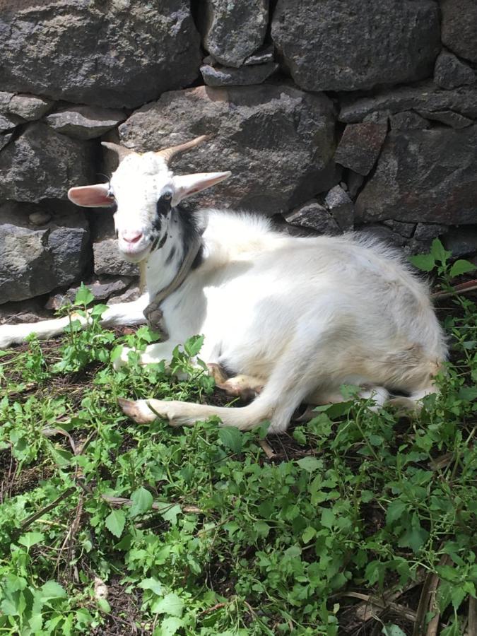 Pousada Rural Simpatia Caculi Exterior foto
